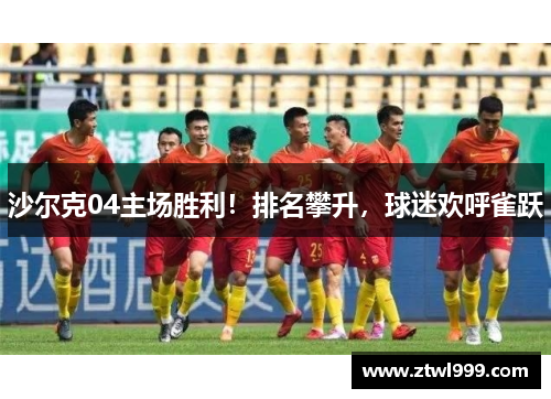 沙尔克04主场胜利！排名攀升，球迷欢呼雀跃